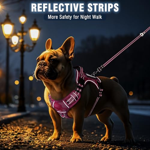 Tactical Dog Harness and Leash Set with 10 Patches for Medium Dogs (Medium / Camo Pink)