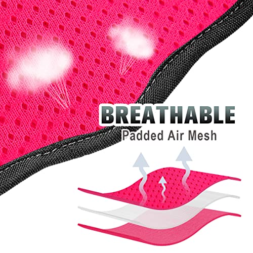 Dog Harness for Small Sized Dog No Pull Dog Vest ID Tag Pocket (Pink/Black / Small)