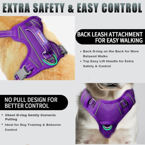 Dog Harness for Small Sized Dog No Pull Dog Vest ID Tag Pocket (Purple / Small)