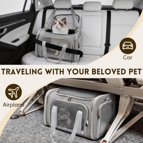 Cat Carrier Soft (Gray / 17.0"L x 11.0"W x 11.0"H)