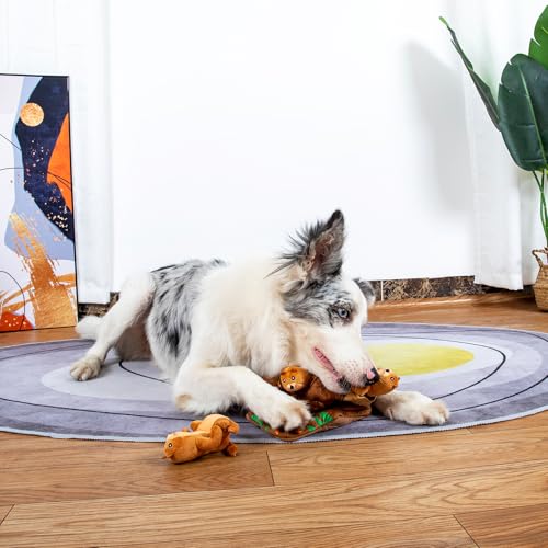 Squeaky Hide and Seek Dog Toys for Small and Medium Dogs (Moles)