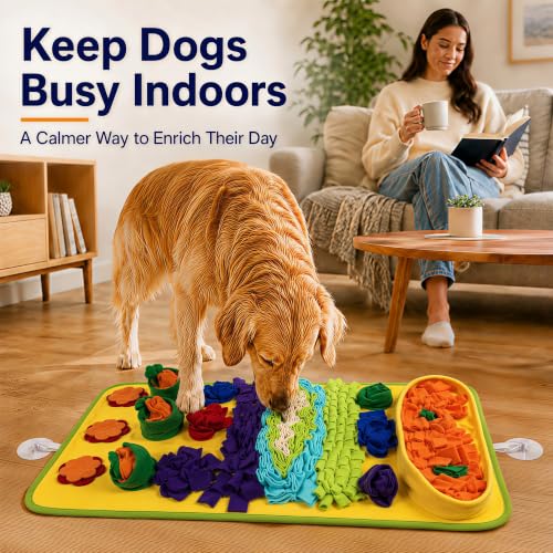 Snuffle Mat for Dogs (Blue-Yellow)