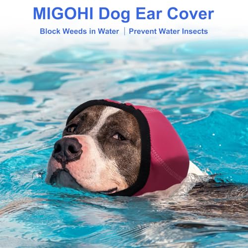 Dog Calming Hoodie (L / Fuchsia)