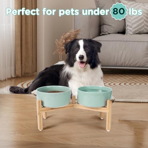 Elevated Dog Bowls Ceramic (7.3 in - 5.3 cups / Light Green)