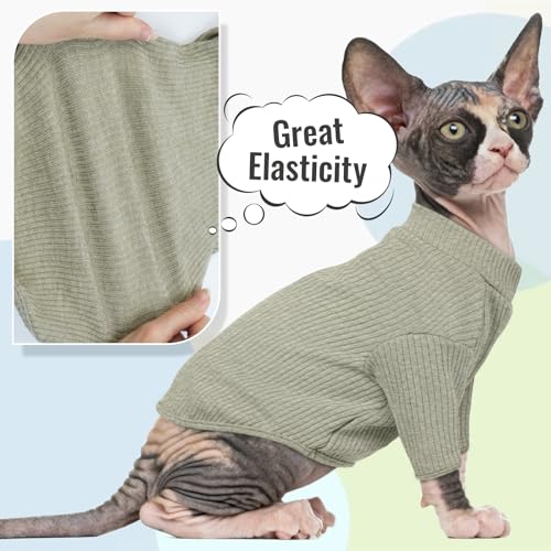 Sphynx Hairless Cats Shirt Pullover Kitten T (Medium / Green)