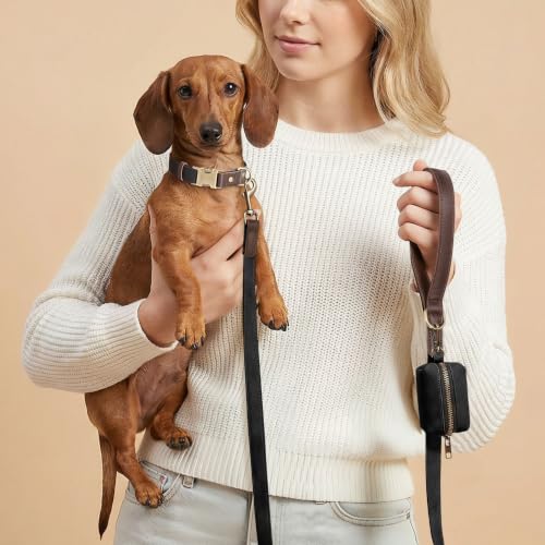 PU Leather Dog Leash for Small Dogs (Black / 5/8"x 5FT)