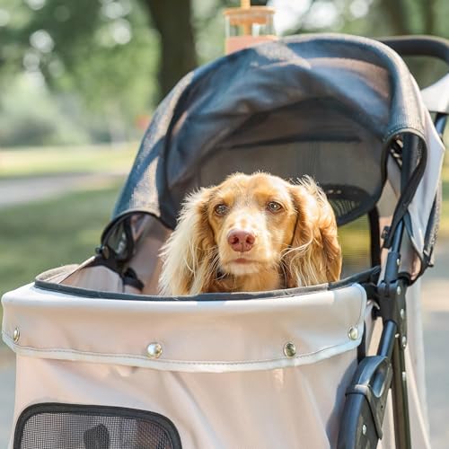 Stroller Includes 360 Degree Front Wheel Swivel (Khaki with Black Accents)