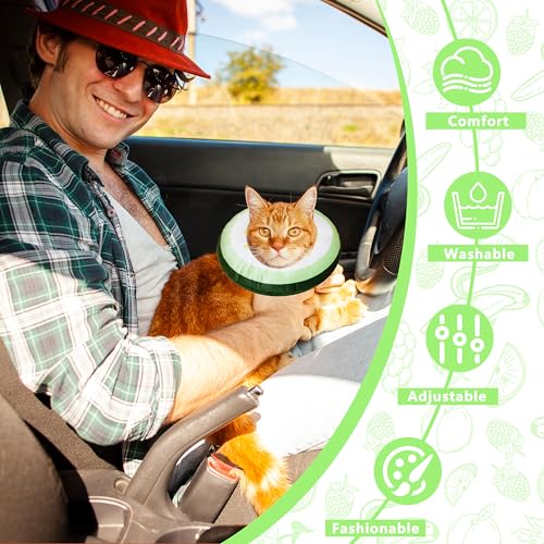 Cat Cone Collar Soft (Cucumber / Small)