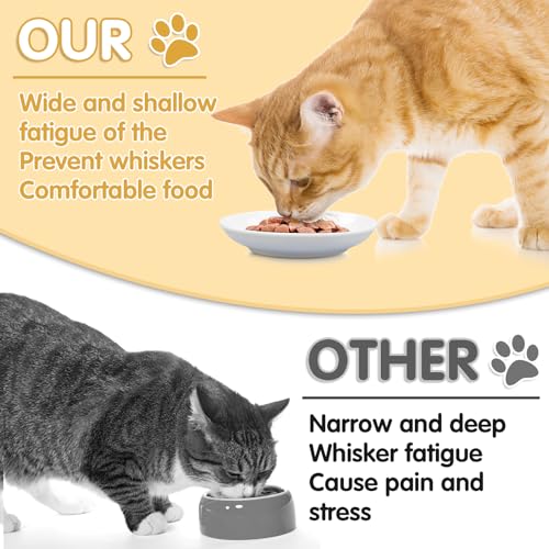 6 Pack Cat Food Bowl (White-C)