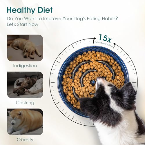 Slow Feeder Dog Bowl (L - 3 Cups / Blue)