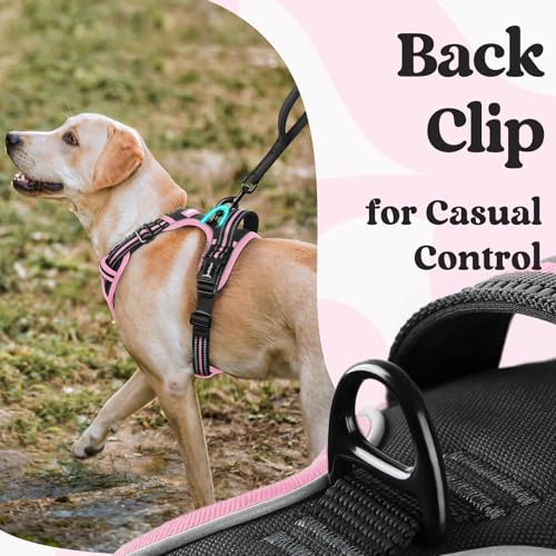 Dog Harness for Large (Large / Black & Pink)