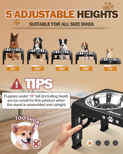 Elevated Dog Bowls for Medium Large Size Dogs (for Medium Large Dogs 2 Basic Bowl / Black)