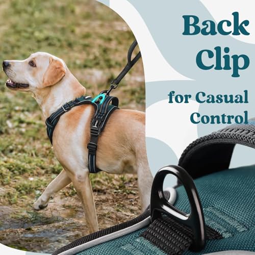 Dog Harness Small Sized (Small / Blue Coral)