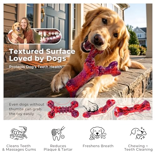 3 Pack Beef Flavored Dog Chew Toys for Aggressive Chewers (3PC-Beef-Red)