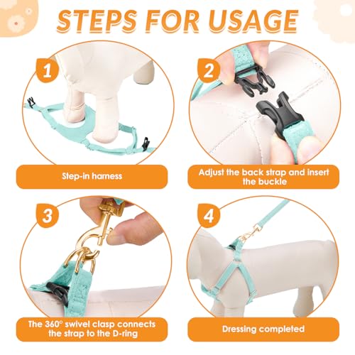No Pull Dog Harness with Leash for Small Medium Dogs (XX-Small(2.2-6lb) / Solid Teal)