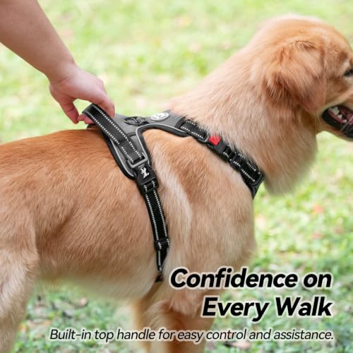 No Pull Dog Harness Large with Front Clip & Neck Release Buckle (Large / Grey)