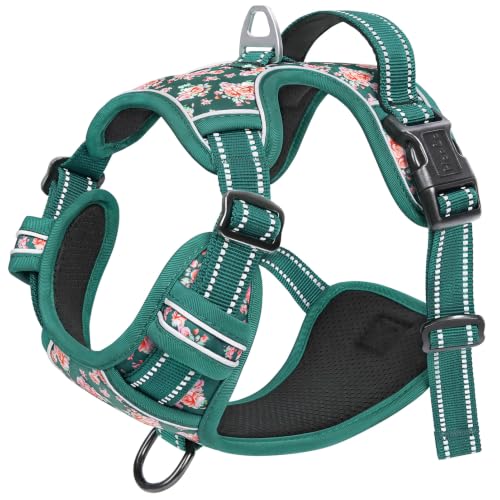 Dog Harness Reflective (M / Flower Grass Green)