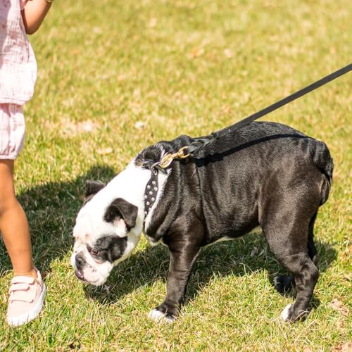 Leather Dog Leash 4ft x 1 (4ft x 1/2 inch / Black)
