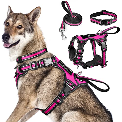 Pet Harness Collar and Leash Set (X-Large / Rosy)