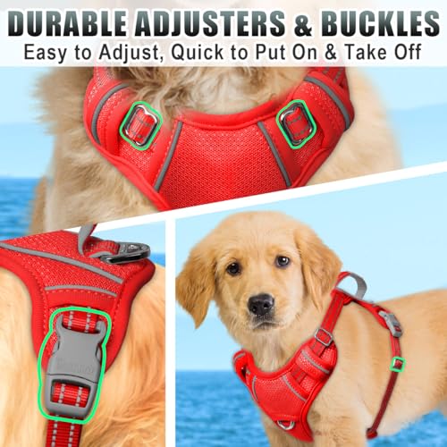 Dog Harness for Small Sized Dog No Pull Dog Vest ID Tag Pocket (Red / Small)