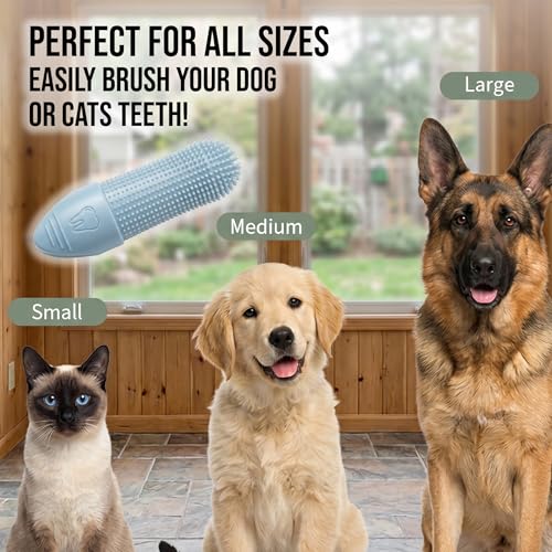 2 Pack Pet Dental Care Kit (1 Count (Pack of 2))