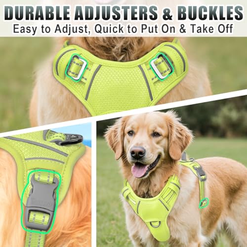 Dog Harness for Large Dogs No Pull Dog Vest ID Tag Pocket (Sunlight / Large)