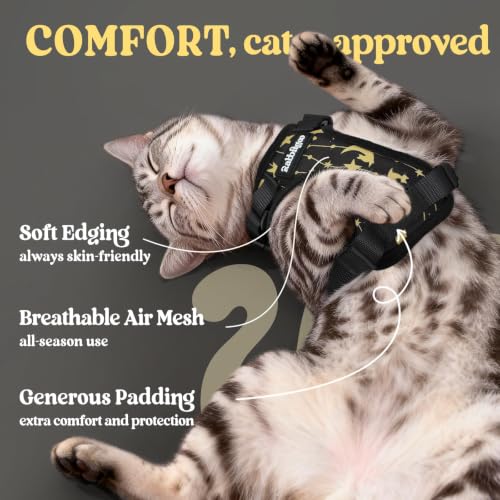 Cat Harness and Leash Set (Xs / Lunar Prowl)
