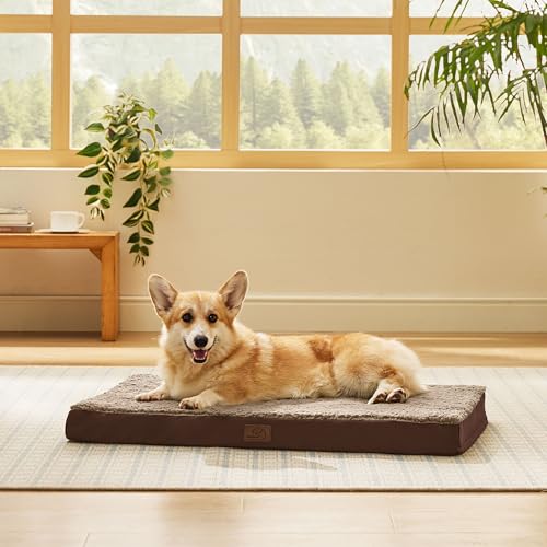 Washable Dog Crate Bed for Large Size with Comfy Sherpa (35"L x 22"W x 3"Th / Brown)