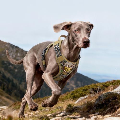 Tactical Dog Harness for Large Dogs (L(Chest:22"-37",Neck:21.1"-30.3",Back:8.3") / Brown Camo)