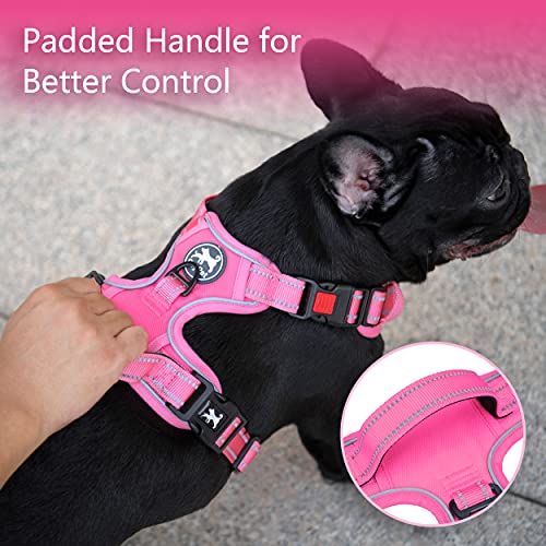 No Pull Dog Harness (XS / Pink(Matching Trim))