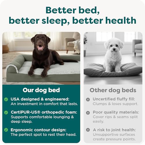 Orthopedic Dog Bed for Large Dogs (Jumbo / Dark Sage)