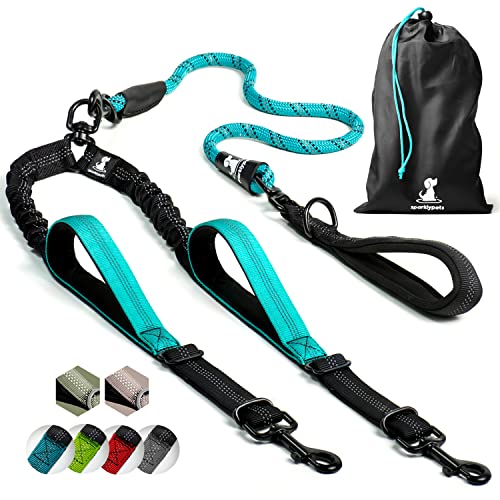 Double Dog Leash for 2 Dogs (Teal)