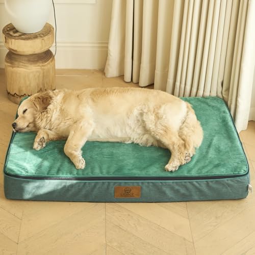Orthopedic Memory Foam XXL Dog Bed (48.0"L x 30.0"W x 6.0"Th / Forest Green)