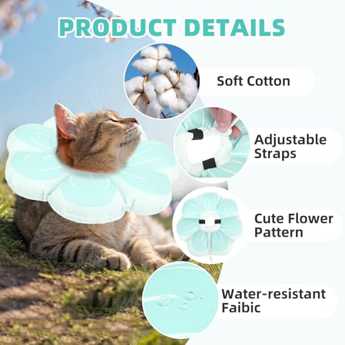 Cat Cone Collar (Blue / M - Neck Up to 10.5")
