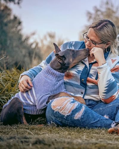Cozy Soft Chenille Classy Striped Dog Sweater in Stonewash Blue (12 inch / Stonewash Blue)