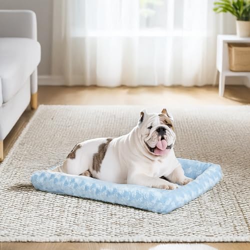 QuietTime Fashion Dog Bed (Blue / 36 Inch)