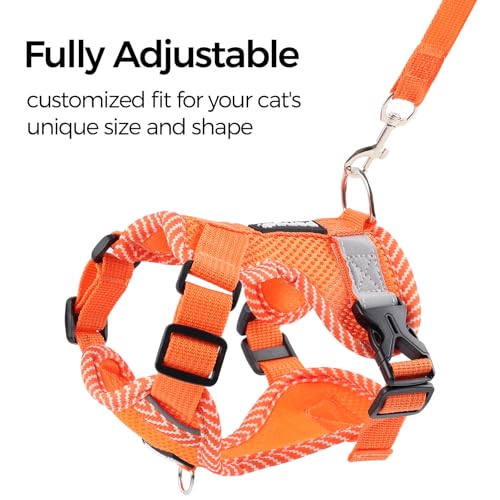 Cat Harness and Leash Set (Orange / Medium)