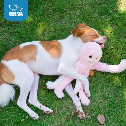 Interactive Squeaky Dog Chew Toy (Octomutant (Pink) / Large)