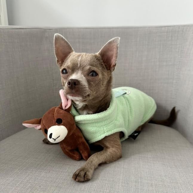 Dog Fleece Sweater with Leash Ring (XL (17-25lbs) / Mint Green)