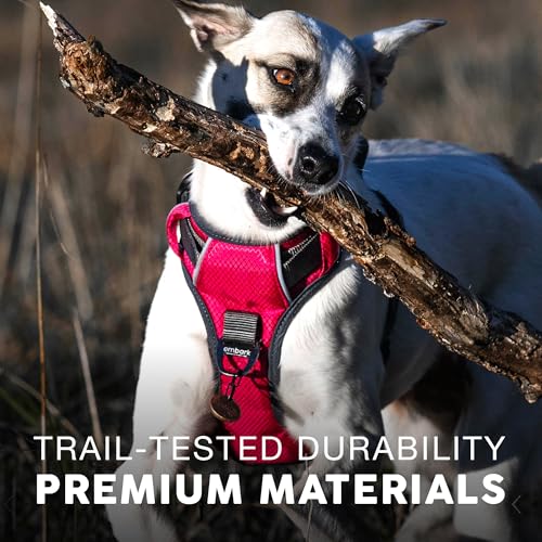 Embark No Pull Dog Harness (L / Red)