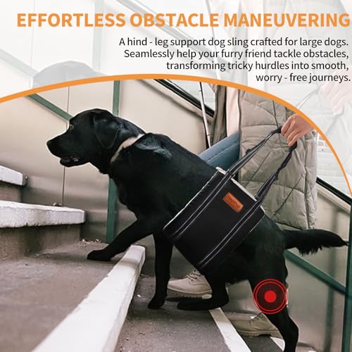 Dog Lift Harness for Large Dogs (X-Large (Pack of 1) / Black)