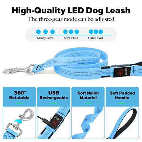 LED Dog Leash (BlueⅡ)