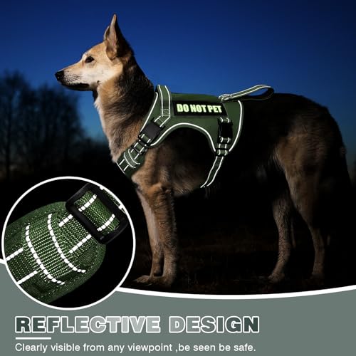 Tactical Dog Harness (Small / Green)