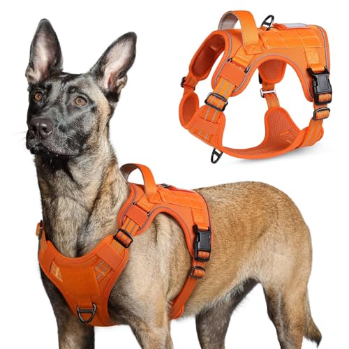 Tactical Dog Harness for Large (Orange / Large)
