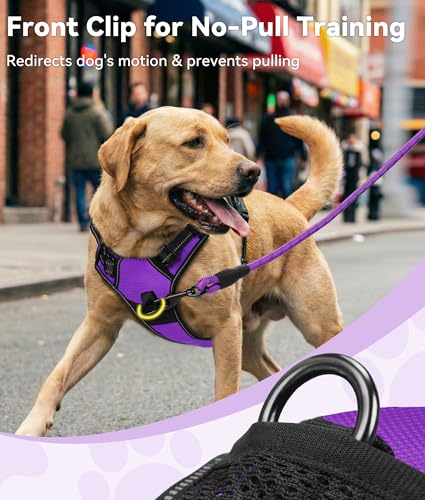 No Pull Dog Harness for Large Dogs (Large / Purple)
