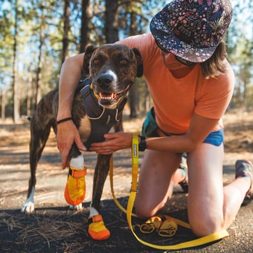 Summit Trex Dog Shoes (Sunrise Yellow / 3.25 in (2 Boots))