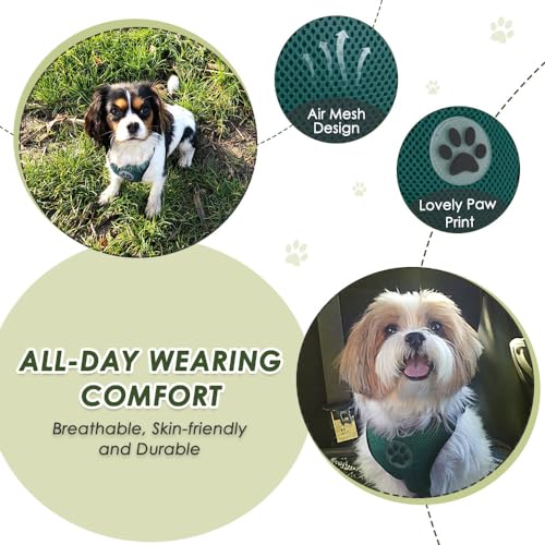 Dog Car Harness Seat Belt (Small / ·Green)