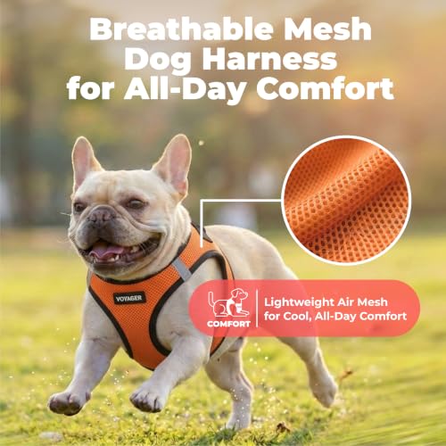 Voyager Step in Air Dog Vest Harness (Orange/Black Trim / L (Chest: 18 - 20.5"))