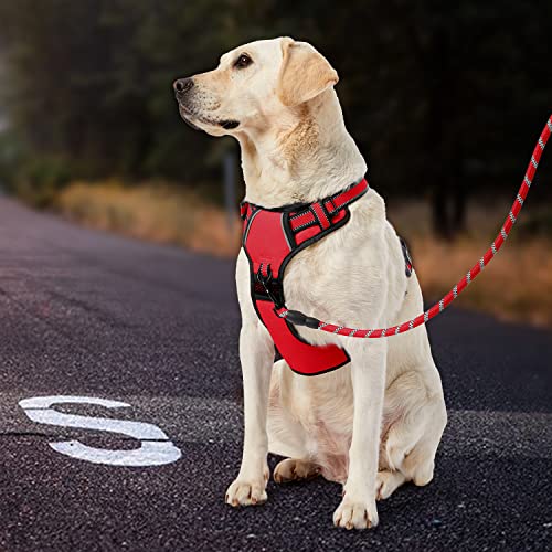 No Pull Dog Harness for Large Dogs (Red / Large)