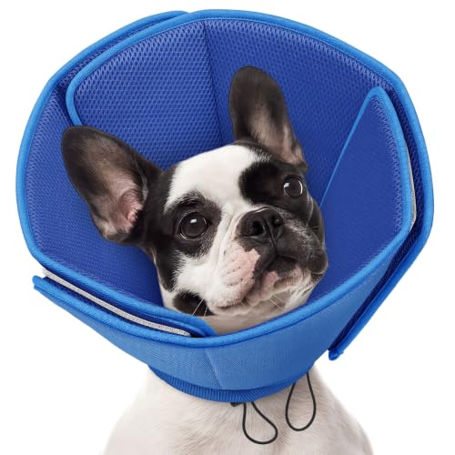 Soft Dog Cone Collar (Blue / Small)